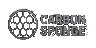 Carbon Sponge